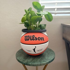 WNBA basketplanterare