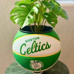 May include: A green and white basketball planter with the Boston Celtics logo and text. It contains a green leafy plant. The planter is on a green marble table.