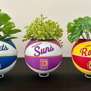 May include: Three basketball-themed planters, each with an NBA team logo: Denver Nuggets, Phoenix Suns, and Houston Rockets. Each planter holds different greenery, creating a decorative display. The planters are supported by clear stands.