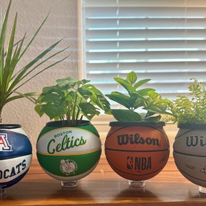 May include: Four basketball-themed planters, each with a different team logo and filled with greenery. The planters are made from basketballs, with the logos of the Wildcats, Celtics, NBA, and Wilson. The planters are on a wooden surface.