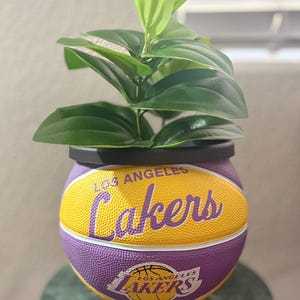 May include: A decorative planter shaped like a basketball, featuring the Los Angeles Lakers logo in yellow and purple. The planter holds a vibrant green plant with large leaves, creating a unique sports-themed decor item.
