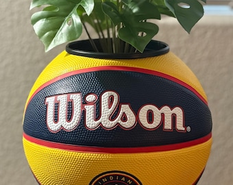 Maceta de baloncesto de la WNBA Indiana Fever