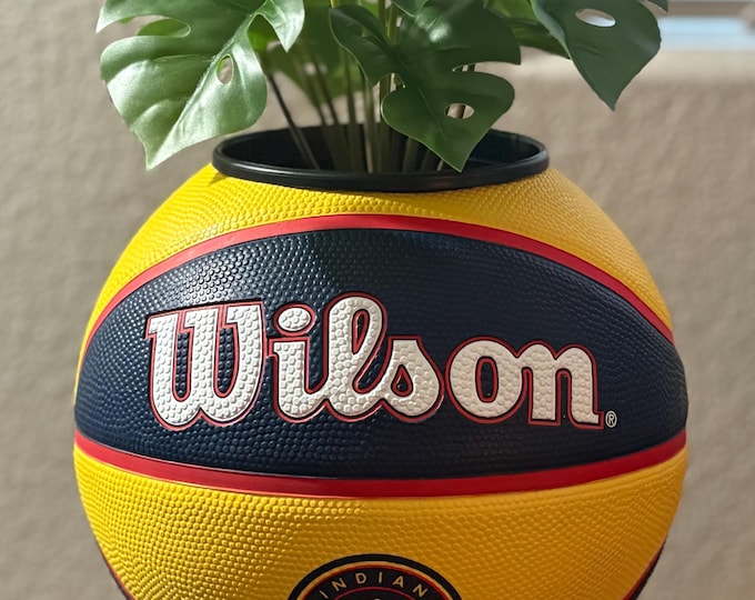 Indiana Fever WNBA Basketball planter