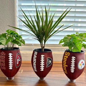 Pode incluir: Três vasos em forma de bola de futebol com plantas verdes. Os vasos são vermelhos com costuras brancas e logotipos de equipas: 49ers, Raiders e Steelers. Estão sobre uma superfície de madeira em frente a uma janela.
