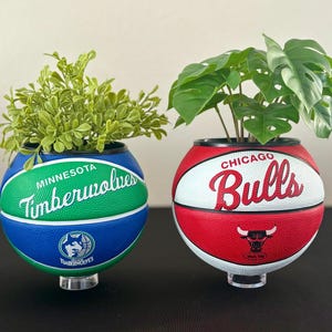 May include: Two basketball-style planters, one with the Minnesota Timberwolves logo and the other with the Chicago Bulls logo. Each planter contains greenery and is mounted on a clear stand. The planters are blue, green, red, and white.