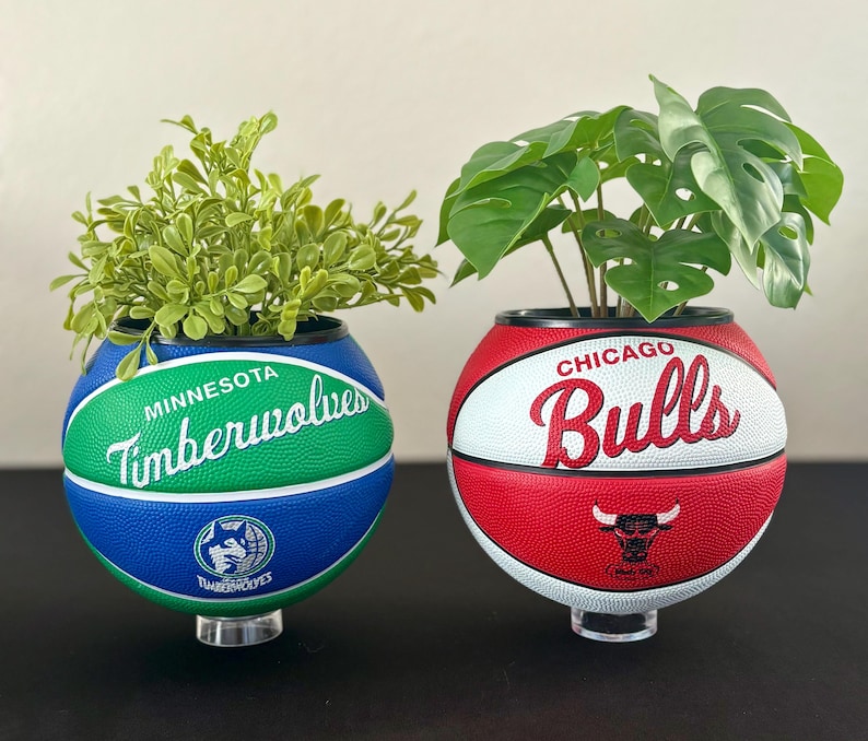 May include: Two basketball-style planters, one with the Minnesota Timberwolves logo and the other with the Chicago Bulls logo. Each planter contains greenery and is mounted on a clear stand. The planters are blue, green, red, and white.