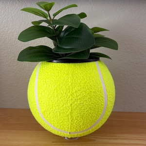 Op de afbeelding: Een felgele tennisbal hergebruikt als plantenbak, met een witte streep. De plantenbak bevat een kleine groene plant met donkergroene bladeren. De plantenbak staat op een houten oppervlak.