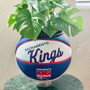 May include: A basketball-shaped planter with the Sacramento Kings logo in red and white on a blue background. It's filled with green Monstera leaves, a distinctive decorative item. The planter is approximately 25 cm in diameter.