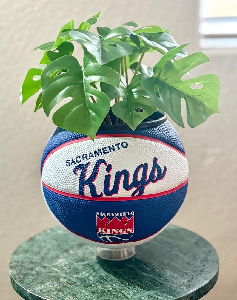 May include: A basketball-shaped planter with the Sacramento Kings logo in red and white on a blue background. It's filled with green Monstera leaves, a distinctive decorative item. The planter is approximately 25 cm in diameter.