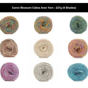 May include: Nine round skeins of Caron Blossom Cakes Aran yarn, each weighing 227g. The collection features nine distinct colorways, including variegated blends of green, orange, blue, pink, beige, and grey, arranged in a three-by-three grid.