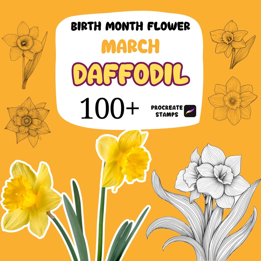 100+ Daffodil Procreate Stamps, March Birth Flower Daffodil, Floral ...