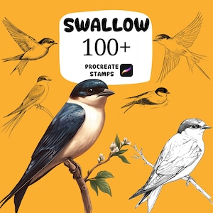 May include: Digital art featuring various swallow illustrations in shades of yellow, black, white, and blue against a yellow background. The text "SWALLOW 100+ PROCREATE STAMPS" is displayed in a white rounded rectangle.