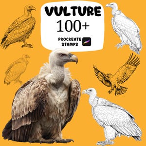 Pode incluir: Imagem digital com ilustrações de abutres em várias poses e estilos. O texto "VULTURE 100+ PROCREATE STAMPS" é exibido em uma caixa branca sobre um fundo amarelo. O logotipo do aplicativo Procreate também está visível.