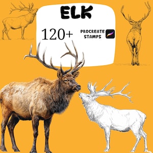 May include: An illustration of elk on an orange background. The word "ELK" is displayed above the text "120+ PROCREATE STAMPS". The elk are shown in different styles, including a detailed brown elk and a white sketch. The image is for digital art.