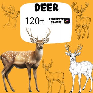 May include: An orange background showcases deer illustrations in different styles. The word "DEER" is at the top, with "120+ PROCREATE STAMPS" below. The deer illustrations include a spotted deer, a sketch, and a detailed drawing.