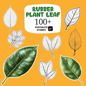 Pode incluir: Uma ilustração de várias folhas de borracha em verde, amarelo e preto e branco, contra um fundo amarelo. A imagem inclui o texto "RUBBER PLANT LEAF 100+ PROCREATE STAMPS".