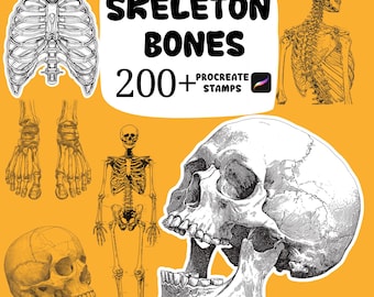 Anatomy for the Artist-142 Full Page Plates - Etsy