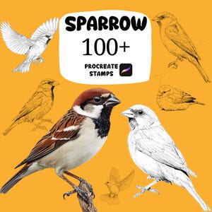 May include: An image featuring a collection of sparrow illustrations and a realistic sparrow. The text "SPARROW 100+ PROCREATE STAMPS" is displayed on a white background. The background is a solid orange color.