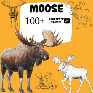 Puede incluir: Imagen con la palabra «MOOSE» en letras negras grandes, con el texto «100+ PROCREATE STAMPS» sobre un fondo amarillo. La imagen presenta varias ilustraciones de alces en varias poses y estilos, incluyendo una representación detallada en color y dibujos lineales.