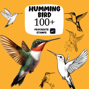 May include: Digital art set featuring various hummingbird illustrations in different styles, including detailed color renderings and line drawings. The image includes the text "HUMMING BIRD 100+ PROCREATE STAMPS" on a yellow background.