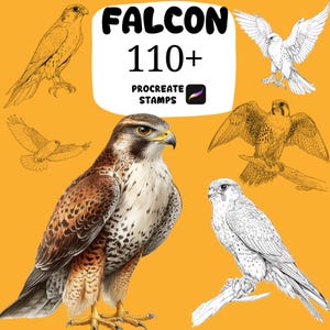Puede incluir: Ilustración de varios halcones en diferentes poses y estilos. La imagen incluye un halcón detallado y colorido y varios bocetos, con el texto "FALCON 110+ PROCREATE STAMPS" sobre un fondo amarillo.