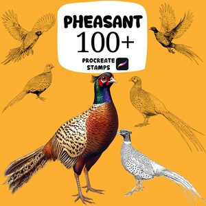 May include: A collection of pheasant illustrations on a yellow background. The image includes a central pheasant with detailed plumage and a sign that reads "PHEASANT 100+ PROCREATE STAMPS".