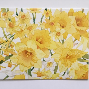 Notitiekaarten narcis, notitiekaarten aquarel narcissen, kaartenset lente narcis, bloemen briefpapier, bedankje, Moederdag, vakantie