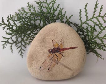 Hand-Painted Dragonfly Rock – Red Dragonfly Art on Natural Stone, Nature-Inspired Gift, Garden or Home Decor