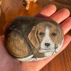 May include: A hand-painted stone featuring a beagle puppy. The artwork uses brown, white, and black paint to depict the dog, with detailed eyes and a realistic look. The puppy is curled up, creating a charming and lifelike image.