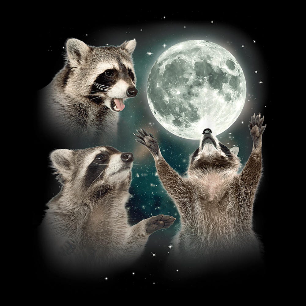 Snorider Design Raccoon Moon Png Design | Night Sky Animal Art | Raccoon Digital Download For T-Shirts, Mugs, Posters | Wild Animal Print
