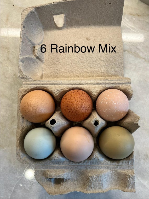Dozen Fertilized Rainbow Eggs