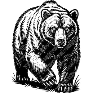 Puede incluir: Ilustración en blanco y negro de un oso pardo en movimiento. El oso, con detalles en el pelaje y las garras, se destaca sobre un fondo blanco, con un pequeño trozo de hierba en la base. La imagen tiene un estilo gráfico fuerte.