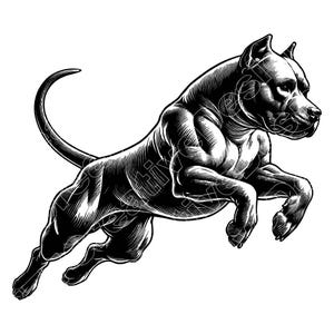 Pitbull Vector Illustration, Pitbull Svg, Pitbull Png, Pitbull Jpg, Pitbull Art, Pitbull Clipart, Pitbull Silhouette, Strong Dog, Guard Dog
