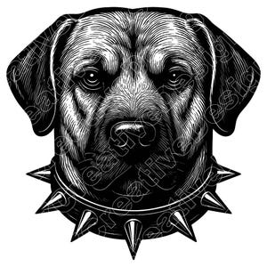 Kangal With Spiked Collar Vector Illustration, Kangal Svg, Kangal Png, Kangal Jpg, Kangal Art, Kangal Clipart, Kangal Silhouette, Kangal Dog