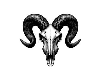 Illustrazione vettoriale di un teschio di ariete, ariete SVG, ariete PNG, ariete JPG, arte di ariete selvatico, clipart di ariete, file di taglio di ariete, silhouette di ariete, ariete di montagna, ariete cornuto