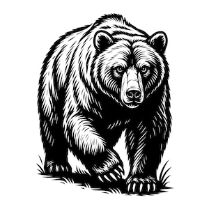 Puede incluir: Una ilustración gráfica en blanco y negro de un oso grande caminando hacia adelante. El diseño presenta líneas audaces y de alto contraste para definir el pelaje grueso, los rasgos faciales y las garras del oso sobre el pasto.