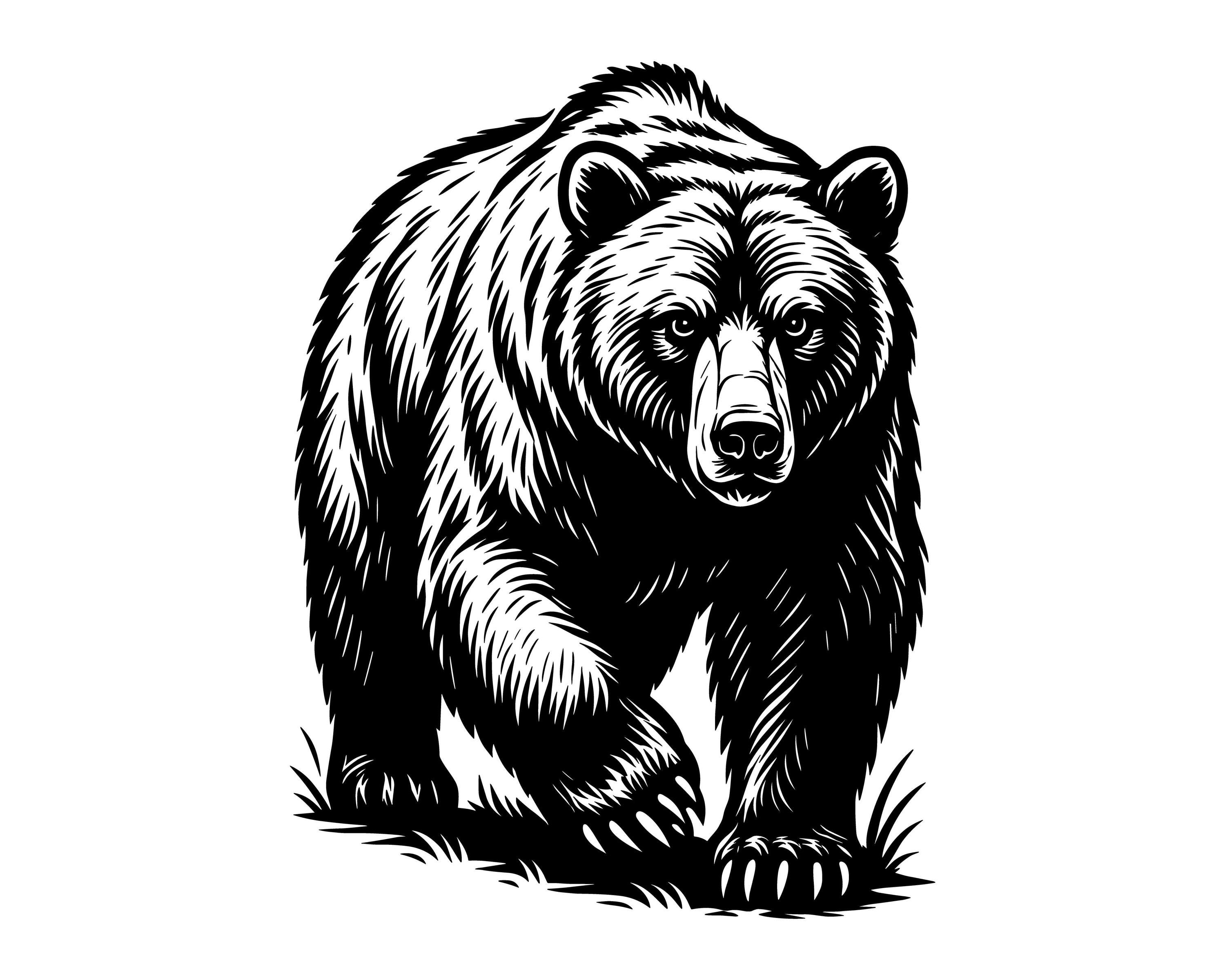 Majestic Bear Vector Illustration, Bear SVG, Bear PNG, Bear JPG, Wild Bear Art, Wild Bear Clipart, Bear Silhouette, Wild Bear, Mountain Bear