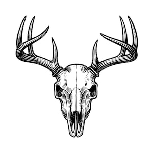 Deer Skull Buck Vector Illustration, Deer SVG, Deer PNG, JPG, Deer Art, Deer Clipart, Cut File, Deer Silhouette, Antler Skull, Hunting Skull