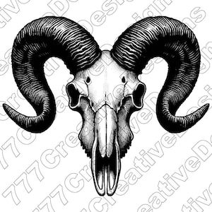 Ram schedel vectorillustratie, ram SVG, ram png, ram jpg, wilde ram kunst, ram clipart, ram gesneden bestanden, ram silhouet, bergram, gehoornde ram