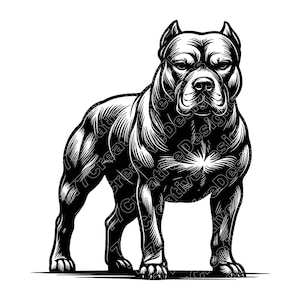 Muskulös Pitbull Vektorillustration, Pitbull SVG, Pitbull PNG, JPG, Söt Pitbull Clipart, Pitbull Silhuett, Stark Pitbull, Mobbare Pitbull