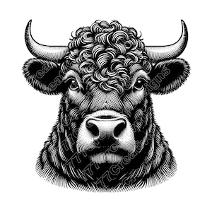Angus Cow Vector Illustration, Angus Cow SVG, Angus Cow PNG, Angus Cow JPG, Cow Art, Cow Clipart, Cow Silhouette, Farm Cow, Beef Angus Cow