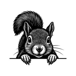 May include: A black and white graphic illustration of a squirrel peeking over a horizontal line. The squirrel is depicted with detailed fur textures, large eyes, pointed ears, and its front paws resting on the edge of the straight line.