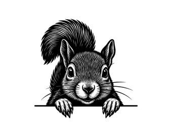Squirrel Peeking Vector Illustration, Squirrel SVG, PNG, JPG, Squirrel Art And Clipart, Squirrel Silhouette, Peeking Squirrel, Cute Squirrel