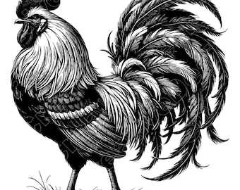 Ilustração vetorial de galo, Galo SVG, Galo PNG, Jpg, Arte de galo, Clipart de galo, Silhueta de galo, Galo de fazenda, Galo cantando
