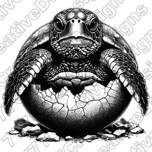 Turtle Vector Illustration, Turtle Svg, Png, Jpg, Turtle Art, Ocean Animal Clipart, Cut Files, Turtle Silhouette, Sea Life, Marine Creature