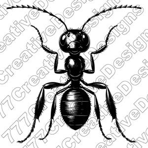 Ant Vector Illustration, Ant Svg, Ant Png, Ant Jpg, Ant Art, Insect Clipart, Ant Cut Files, Ant Silhouette, Tiny Bug, Colony Insect Design