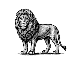 Lion Full Body Vector Illustration, Lion SVG, Lion PNG, Lion JPG, Cute Lion Art, Lion Clipart, Lion Silhouette, Wild Lion, Roaring Lion