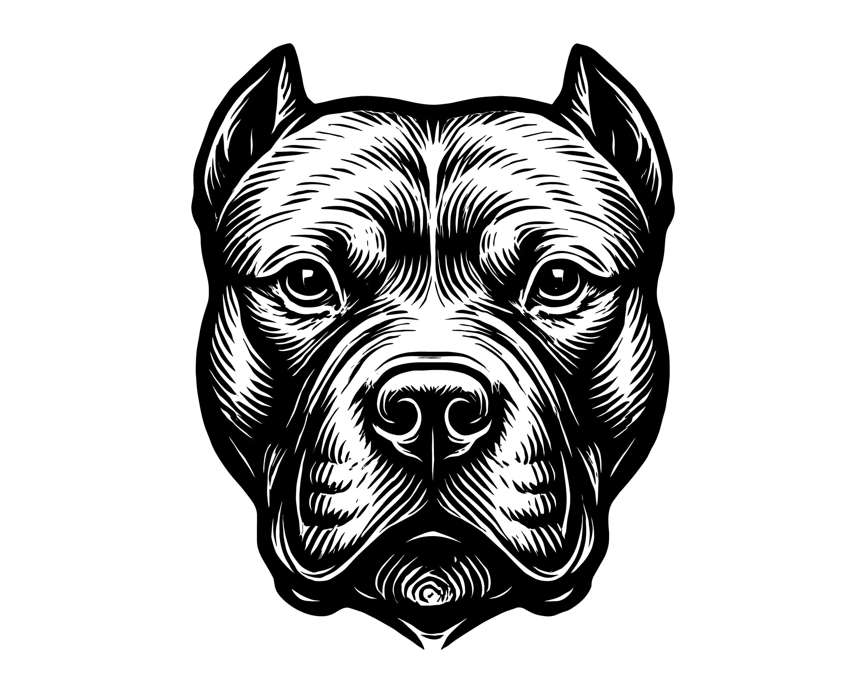 Pitbull Vector Illustration, Pitbull SVG, Pitbull PNG, JPG, Pitbull Art, Pitbull Clipart, Pitbull Silhouette, Strong Pitbull, Angry Pitbull