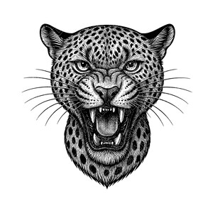 May include: A detailed black and white illustration of a snarling leopard's head. The leopard's mouth is wide open, revealing sharp teeth. The fur is patterned with spots, and the whiskers are prominent. The image is a close-up, focusing on the animal's fierce expression.