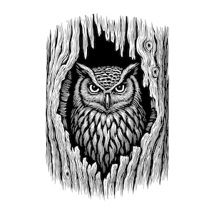Eulen-Vektorillustration, Eulen-SVG, Eulen-PNG, Eulen-JPG, Niedliche Eulen-Grafik, Eulen-Clipart, Eulen-Silhouette, Nachteule, Fliegende Eule, Baumeule, Eulengesicht